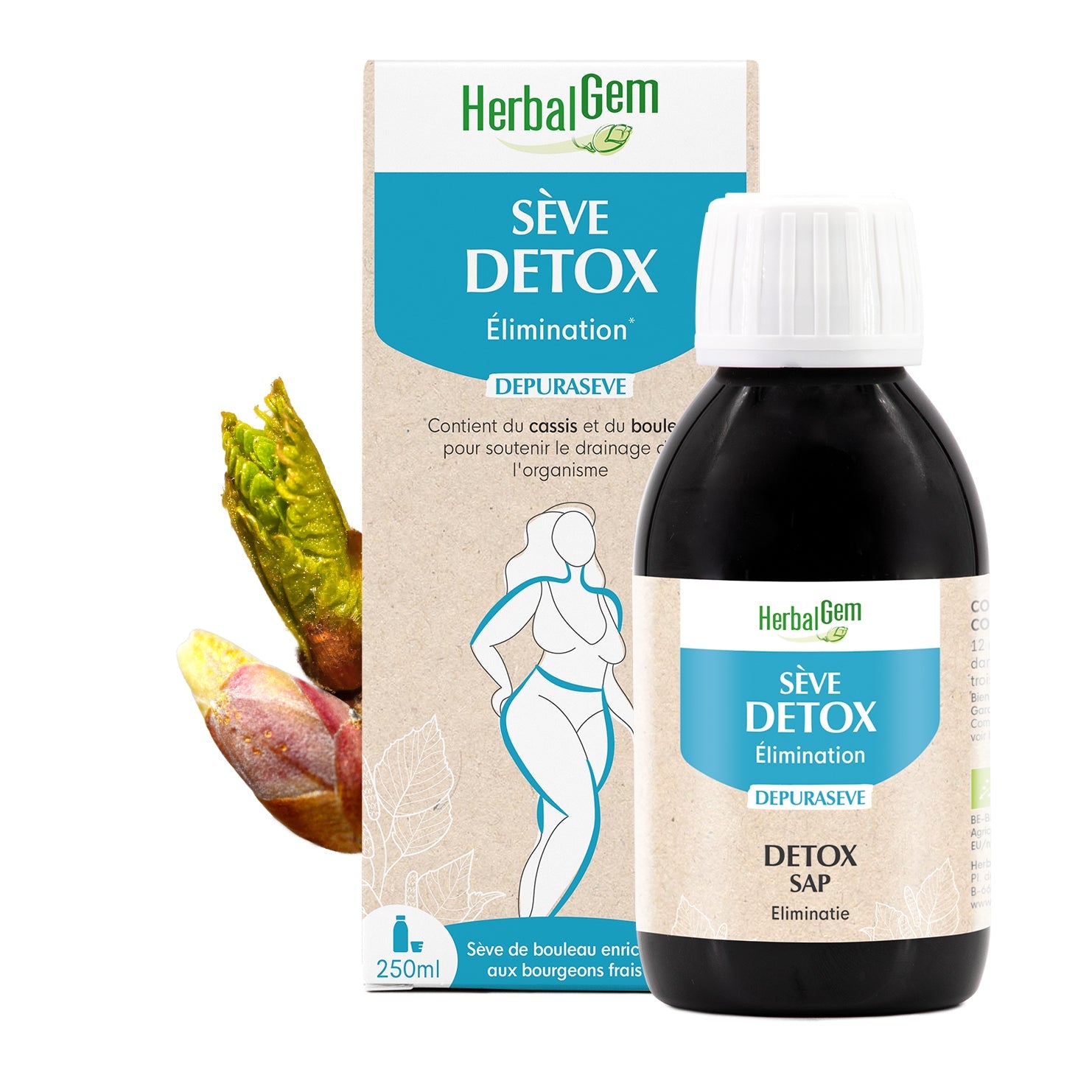 DETOXSAP - Bio - Bio