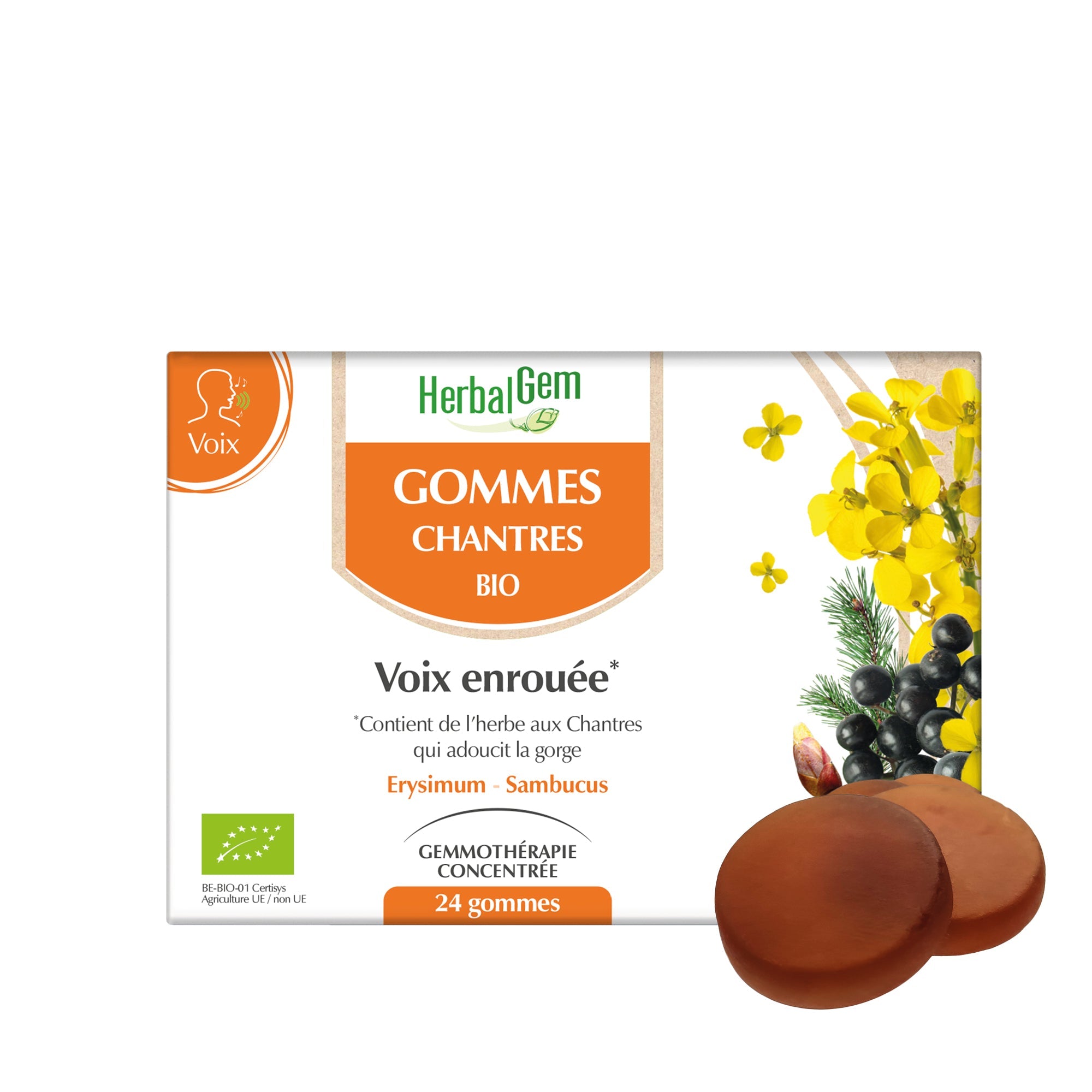 ZANGERS GOMMEN - Bio - Bio