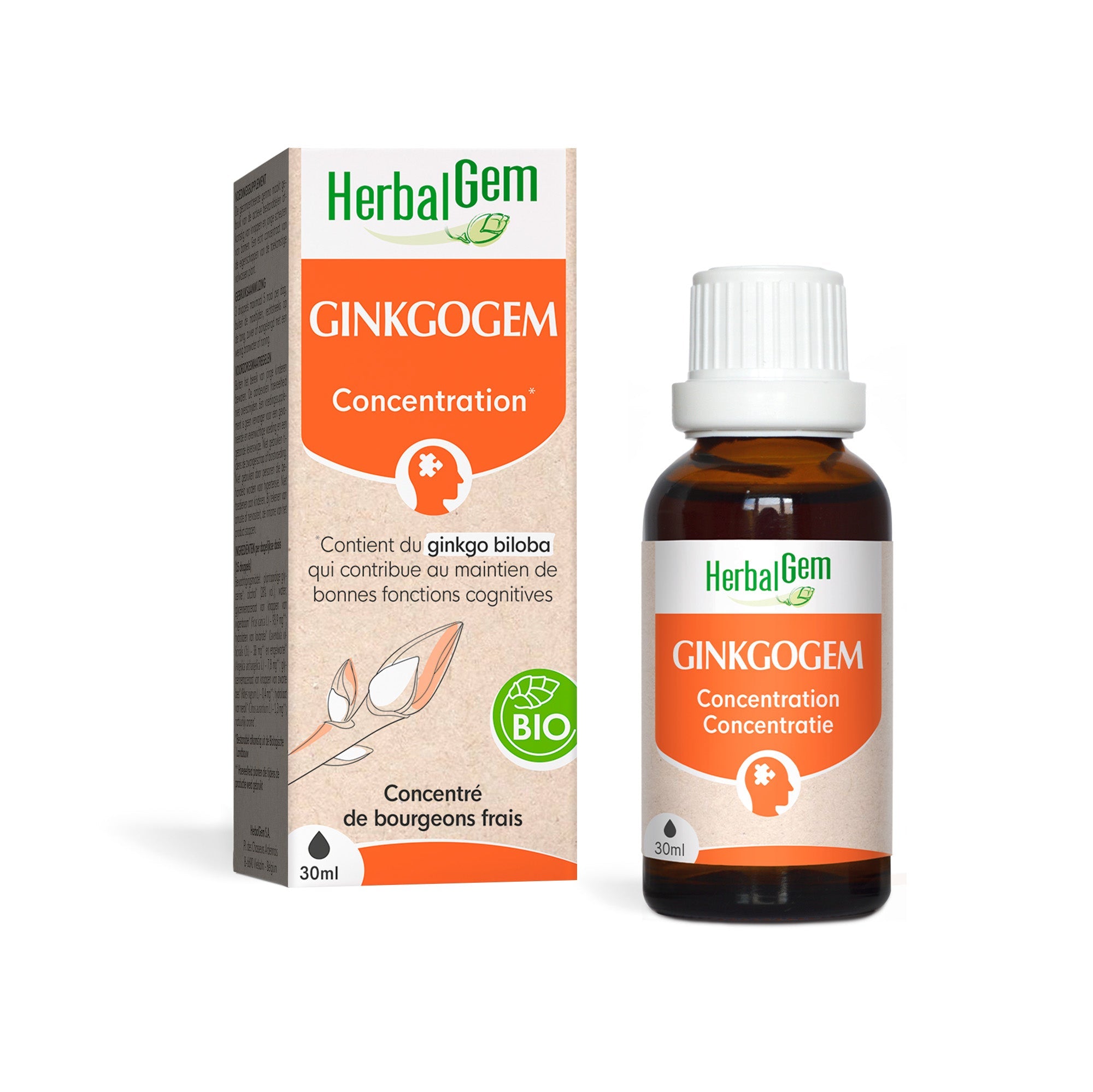 GINKGOGEM - Bio - Bio