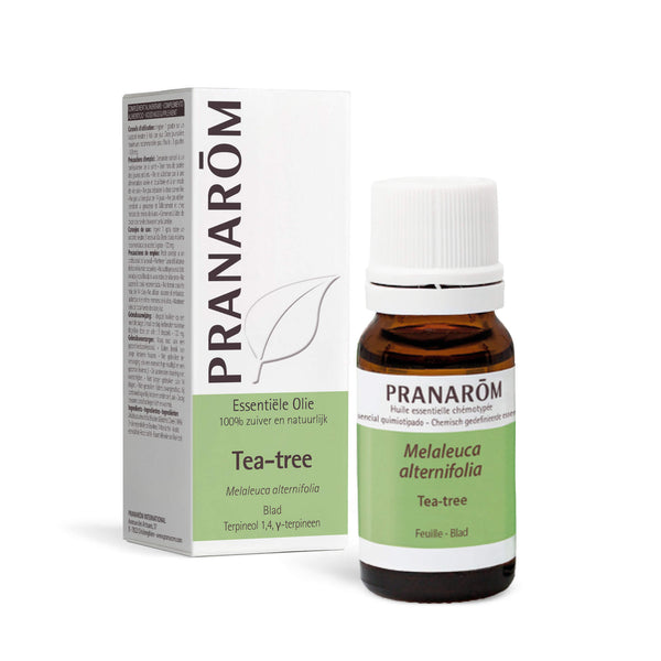 he-tea-tree-pranarom-10ml-nl25-5420008526190-01.jpg