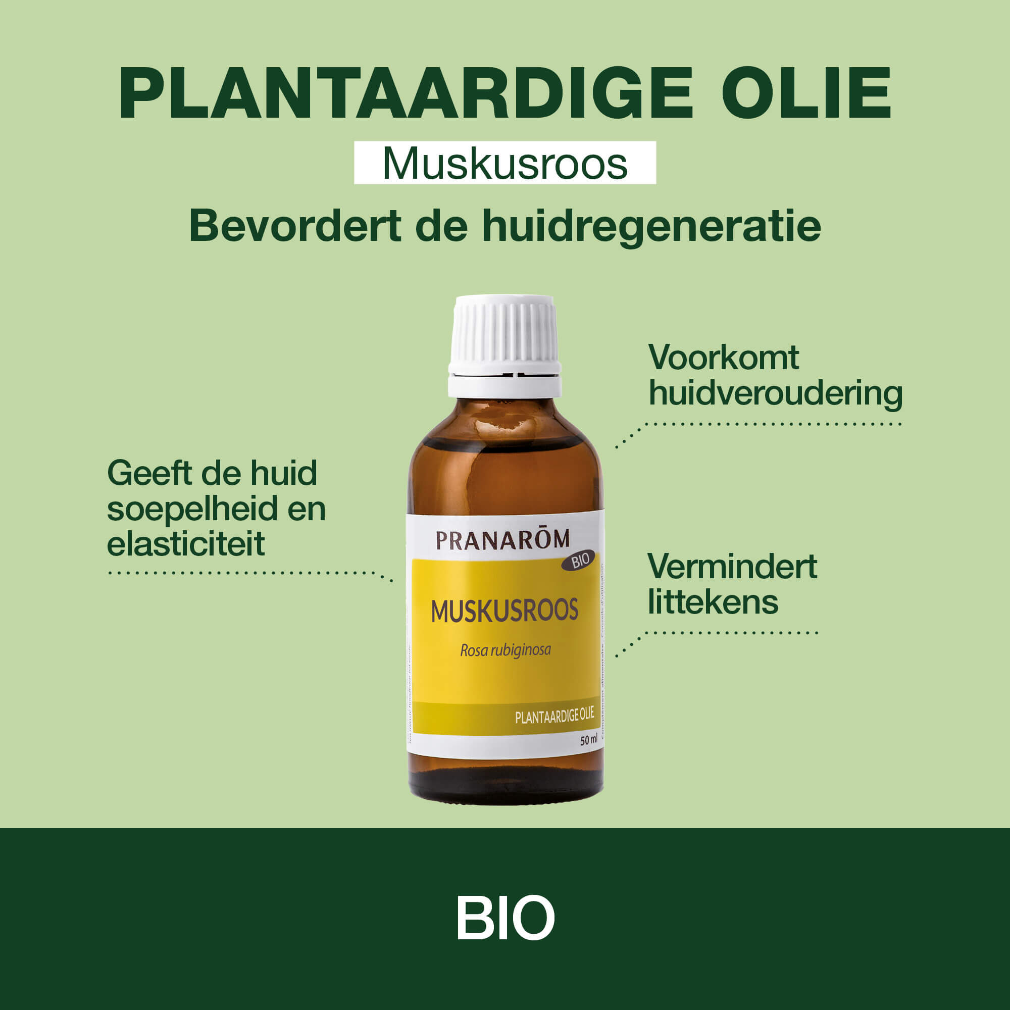 Rozenbottel plantaardige olie - Bio