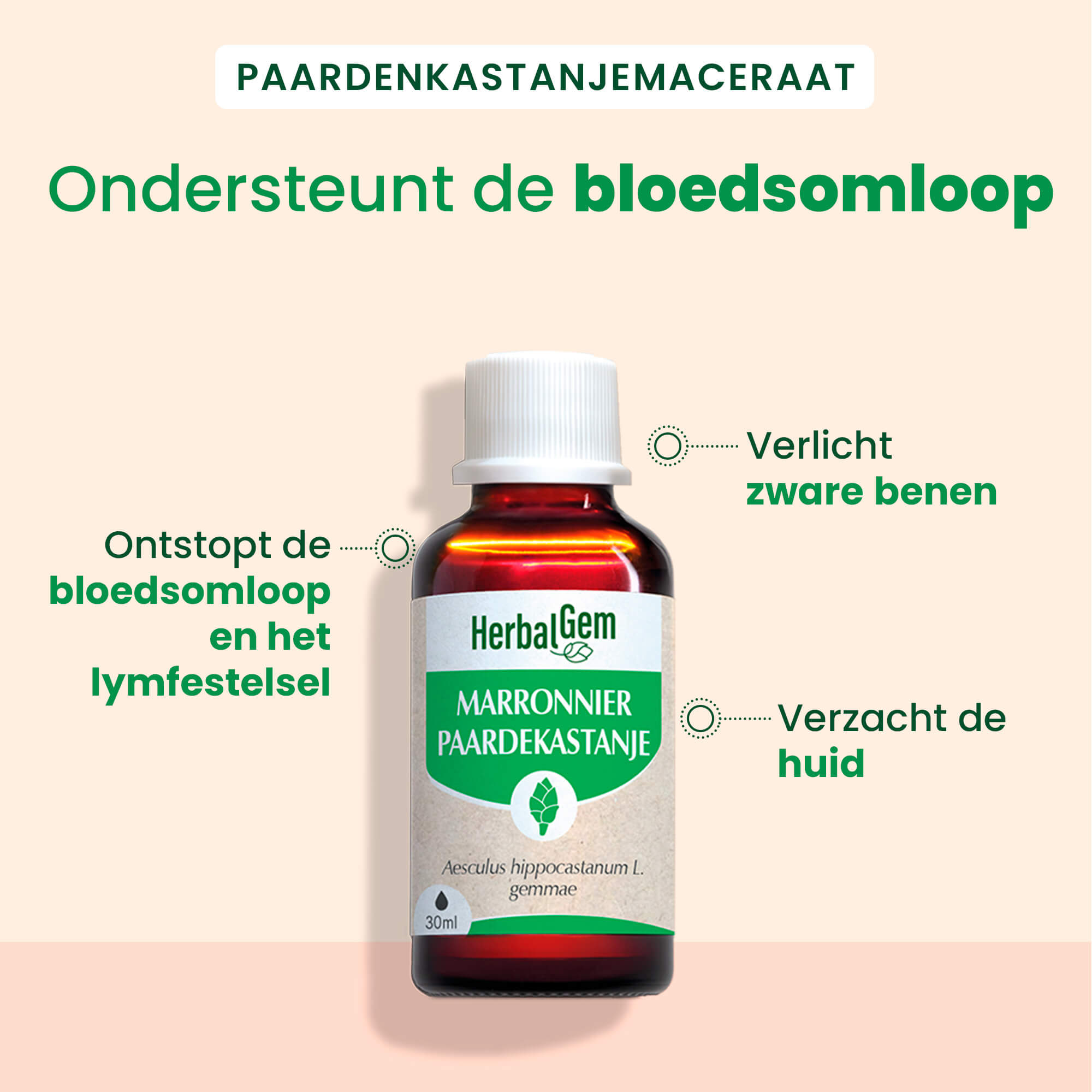 Kastanjebloesemknop - Bio