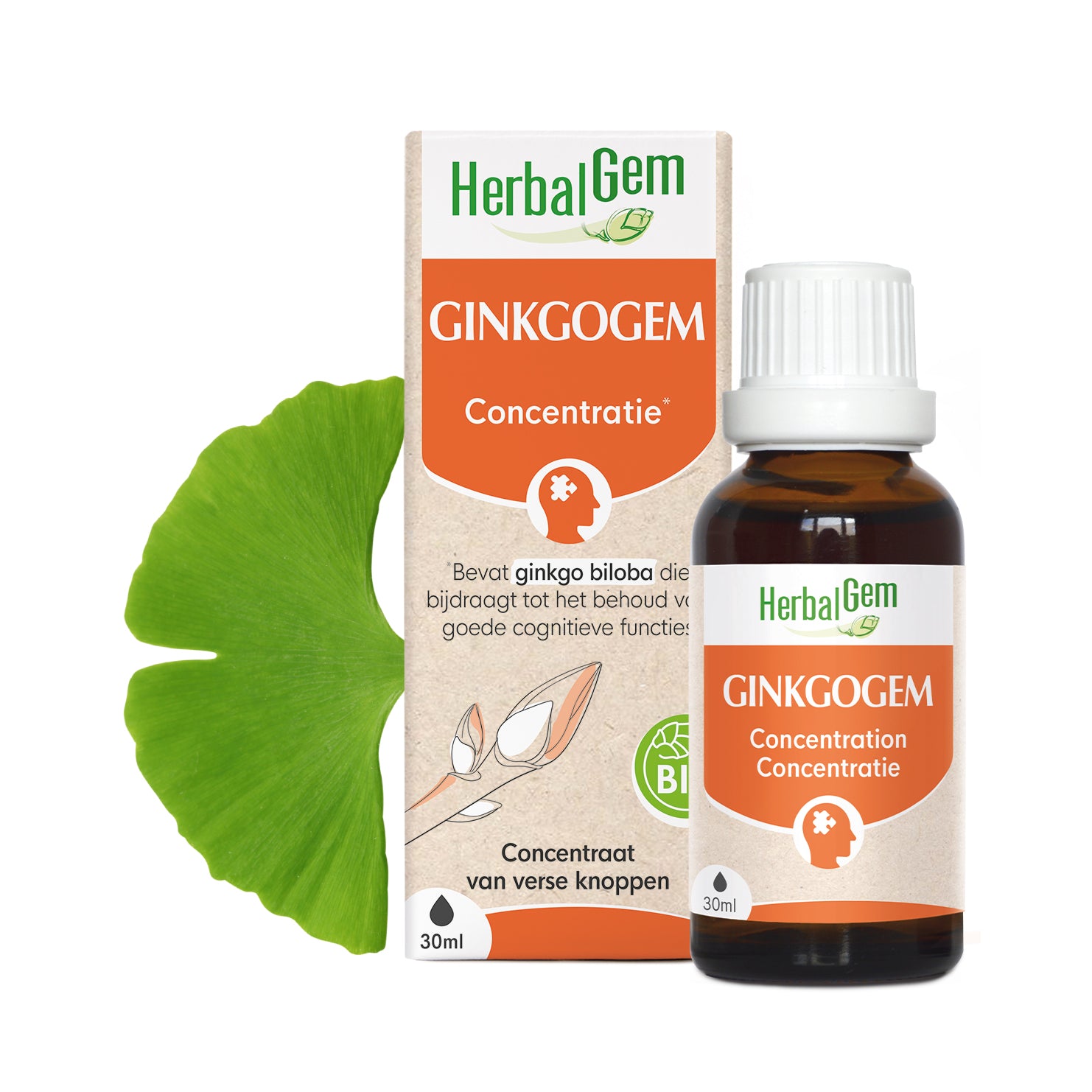 GinkgoGem complex van Ginkgo biloba - Bio
