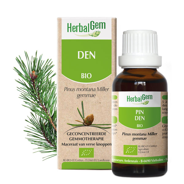 nl20-moedermaceraten-den-bio-herbalgem-01.jpg