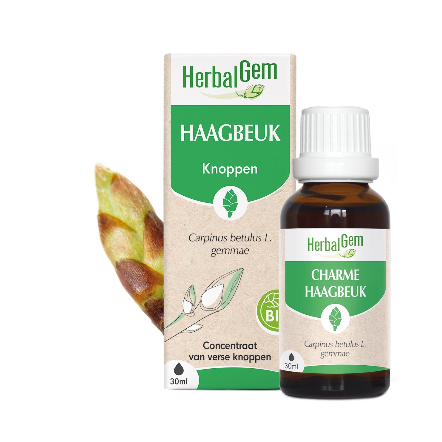 HAAGBEUK - Bio - Bio