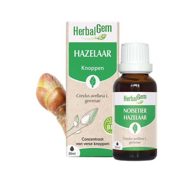 nl20-moedermaceraten-hazelaar-bio-herbalgem-01.jpg