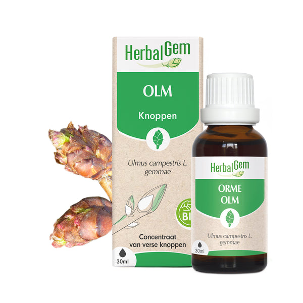 nl20-moedermaceraten-olm-bio-herbalgem-01.jpg