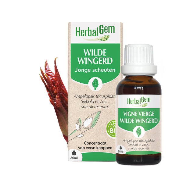 nl20-moedermaceraten-wildewingerd-bio-herbalgem-01.jpg
