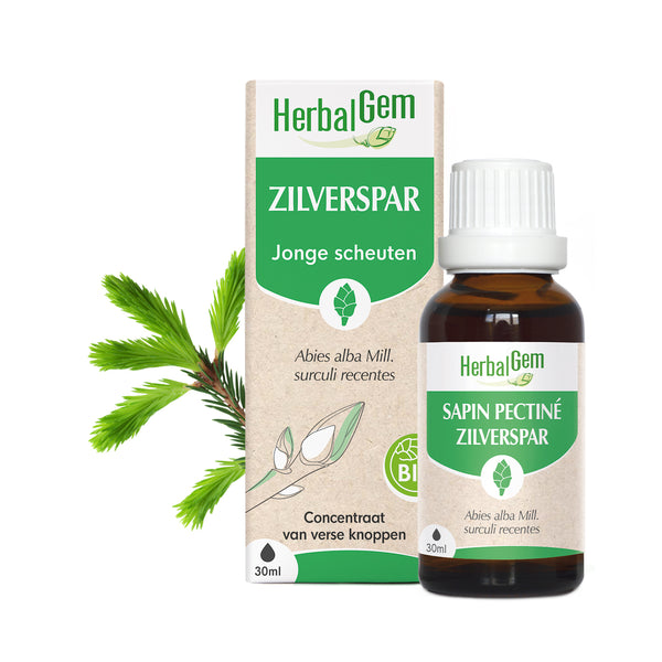 nl20-moedermaceraten-zilverspar-bio-herbalgem-01.jpg
