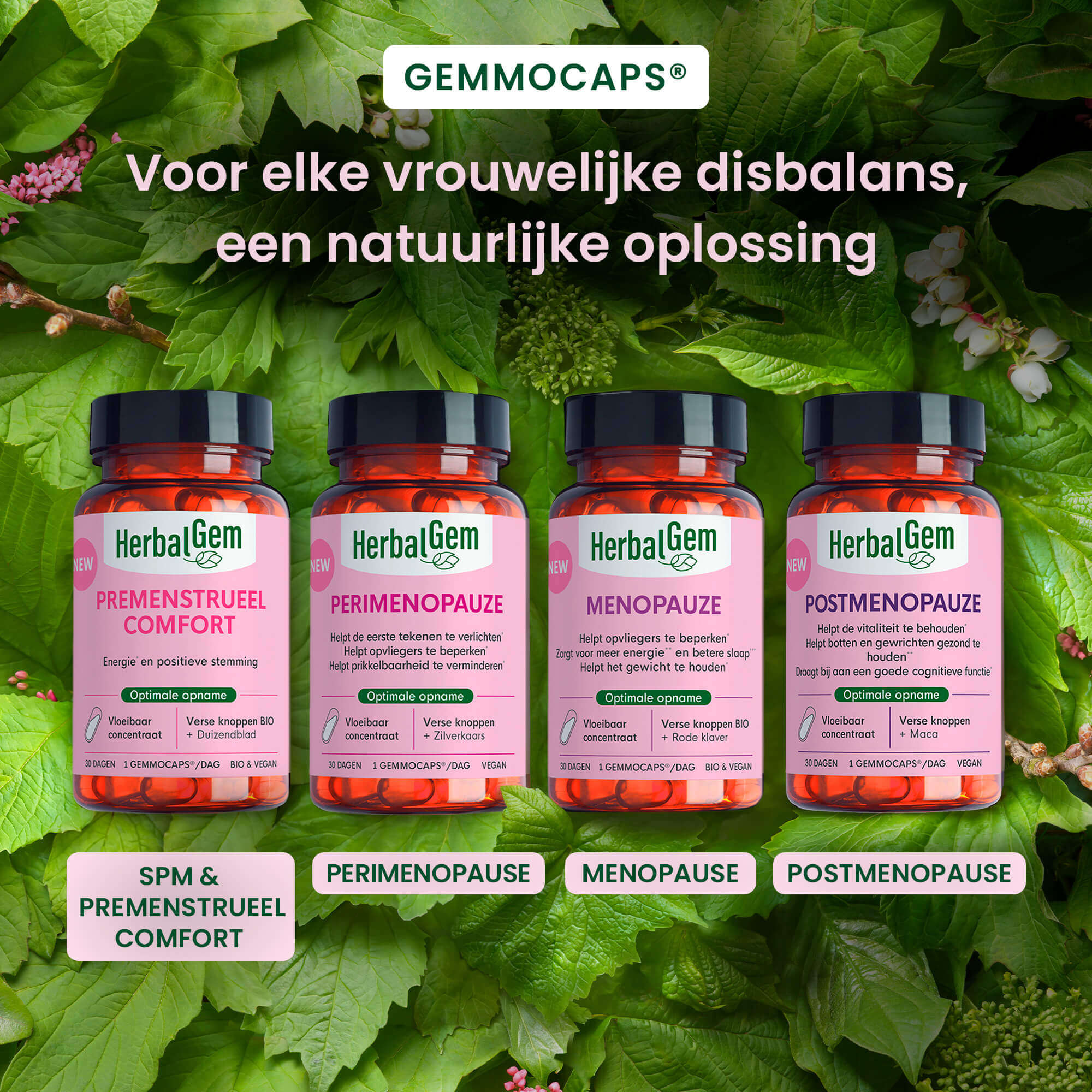 Voedingssupplement Postmenopauze