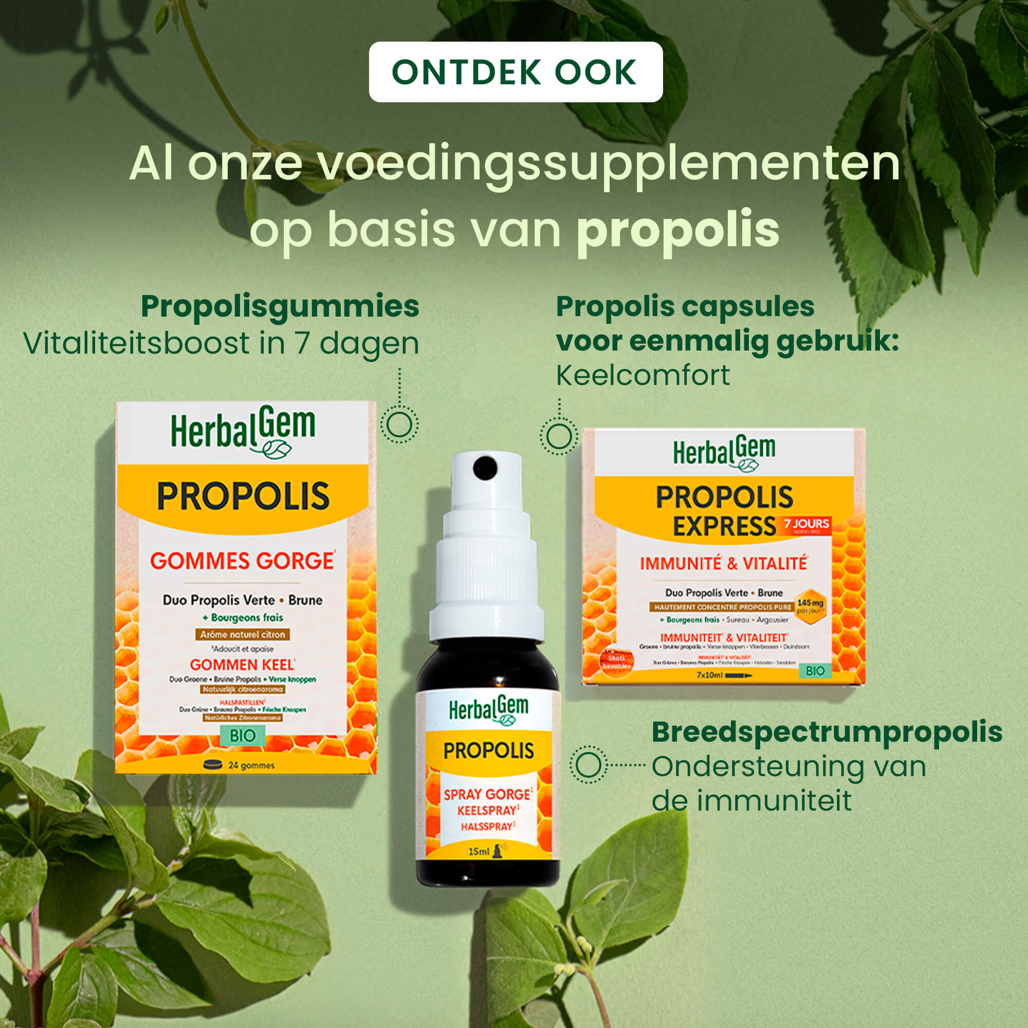 Propolis druppels immuniteit - Bio