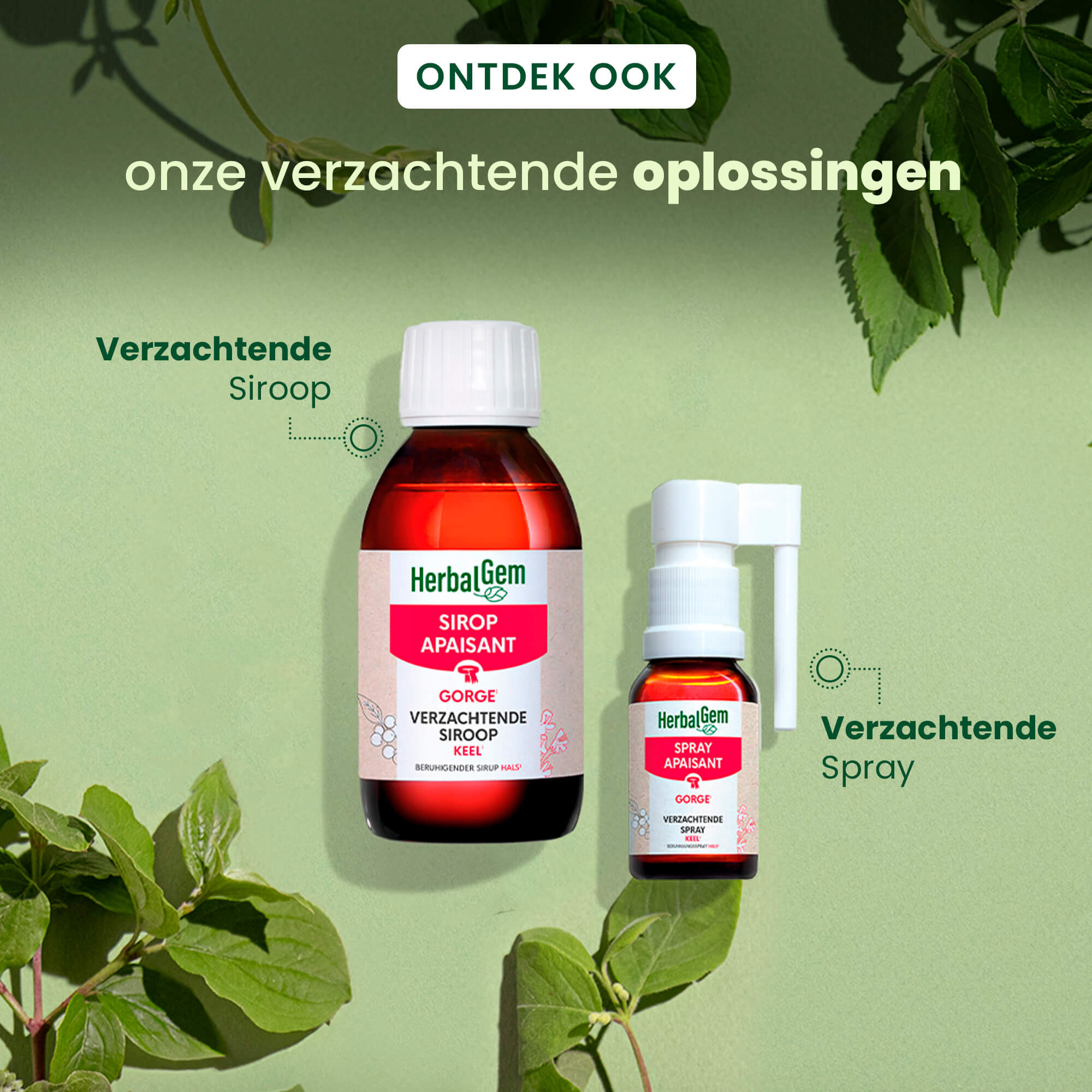 Verzachtende keelspray - Bio