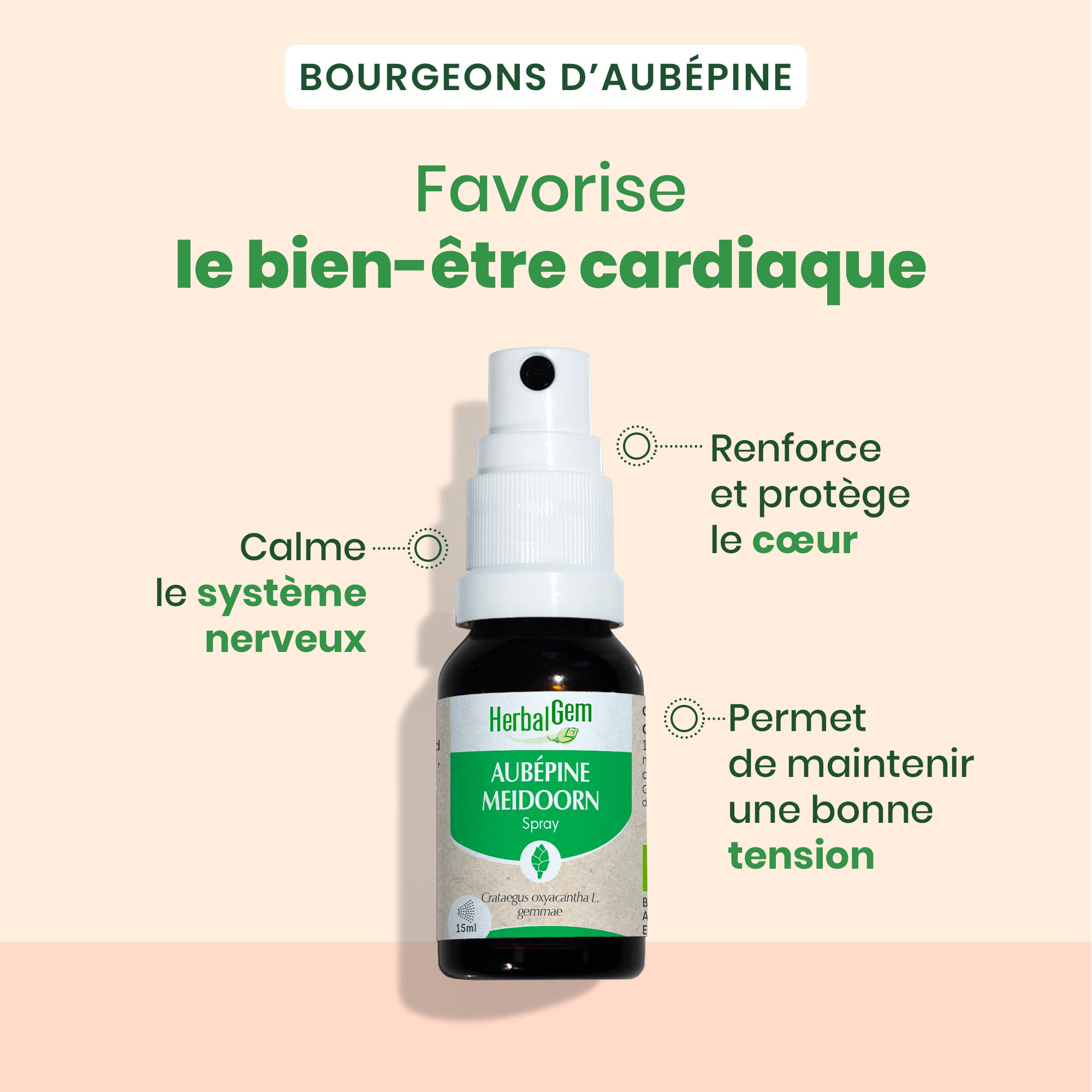Bourgeon d'Aubépine - spray - Bio