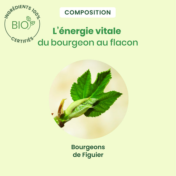 030171-figuier-spray-herbalgem-15ml-fr24-5407008641504-04.jpg