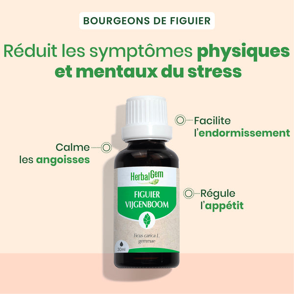 030173-figuier-herbalgem-30ml-fr24-5425009101438-02.jpg