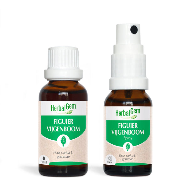 030176-duopack-figuier-herbalgem-30ml-15ml-fr23-5407008642266-01.jpg