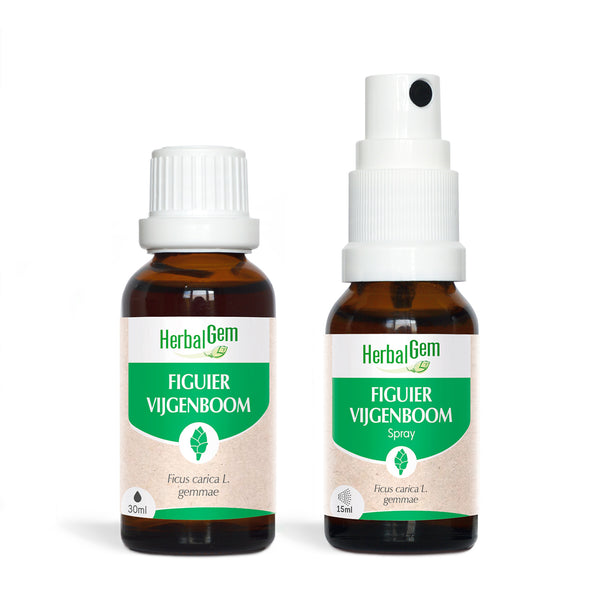 Transigem GC20 Herbalgem - Transit Intestinal Bio - 30 Ml - Neuf (Péremption 12/28)