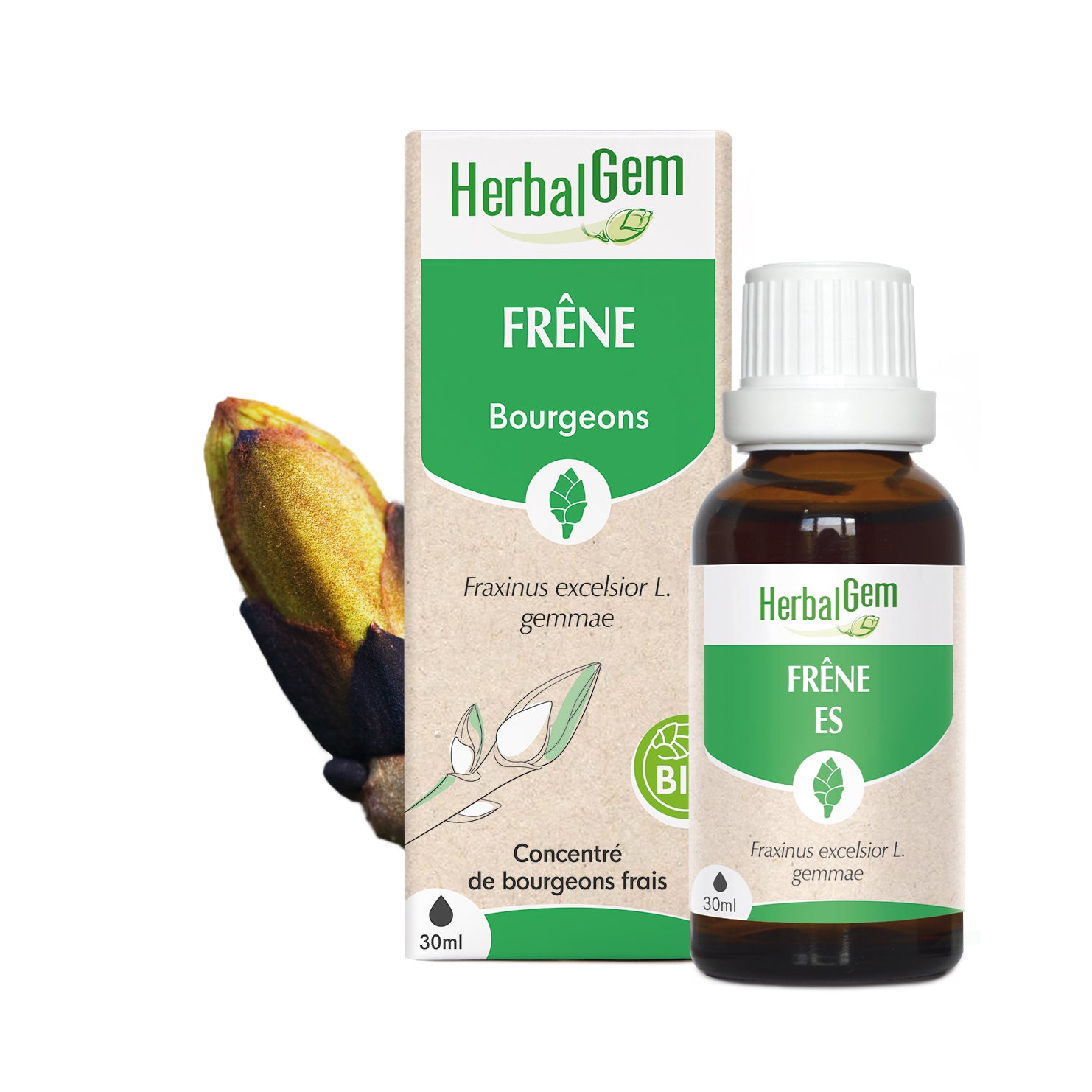 030183-fr20-maceratsmeres-frene-bio-herbalgem-01.jpg