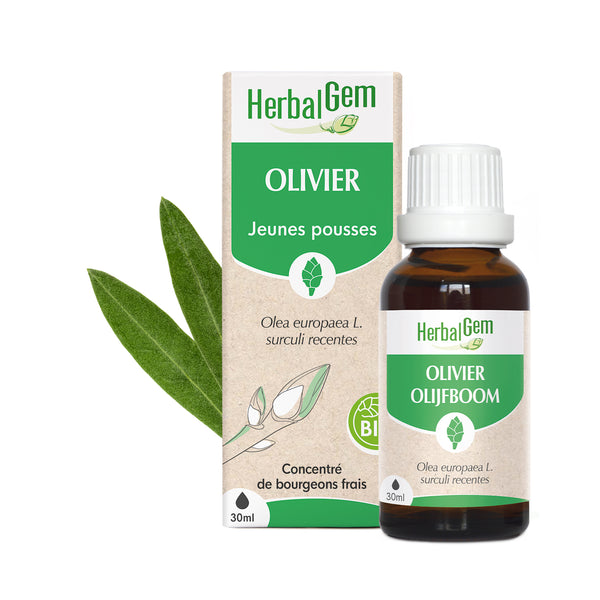 030233-fr20-maceratsmeres-olivier-bio-herbalgem-01.jpg