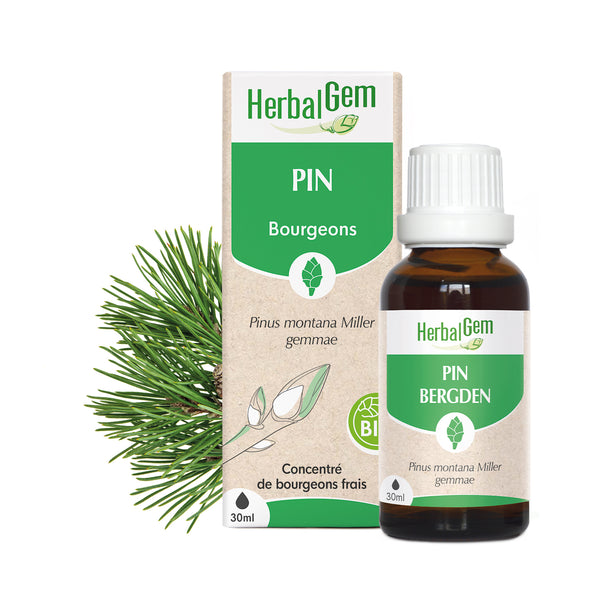 030243-fr20-maceratsmeres-pin-bio-herbalgem-01.jpg