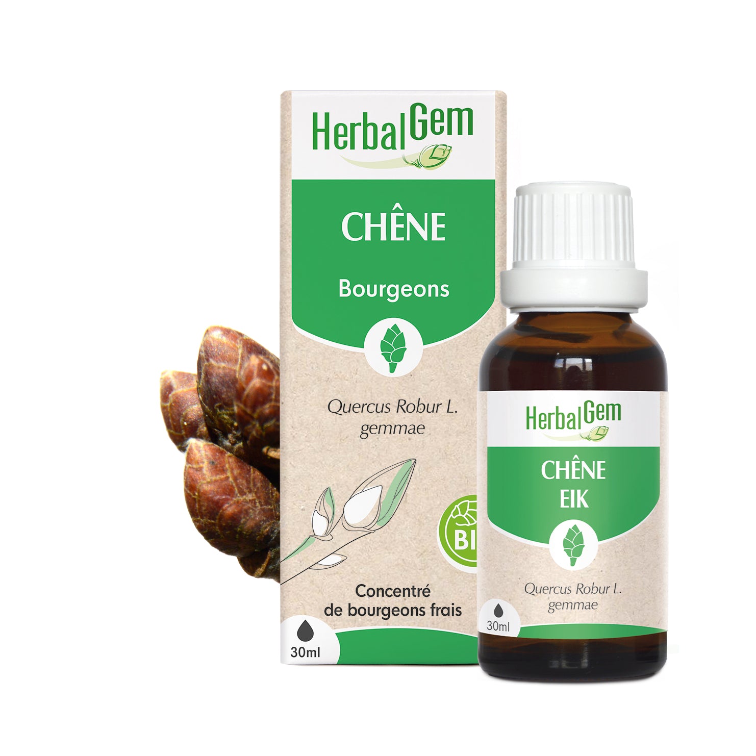 030273-fr20-maceratsmeres-chene-bio-herbalgem-01.jpg