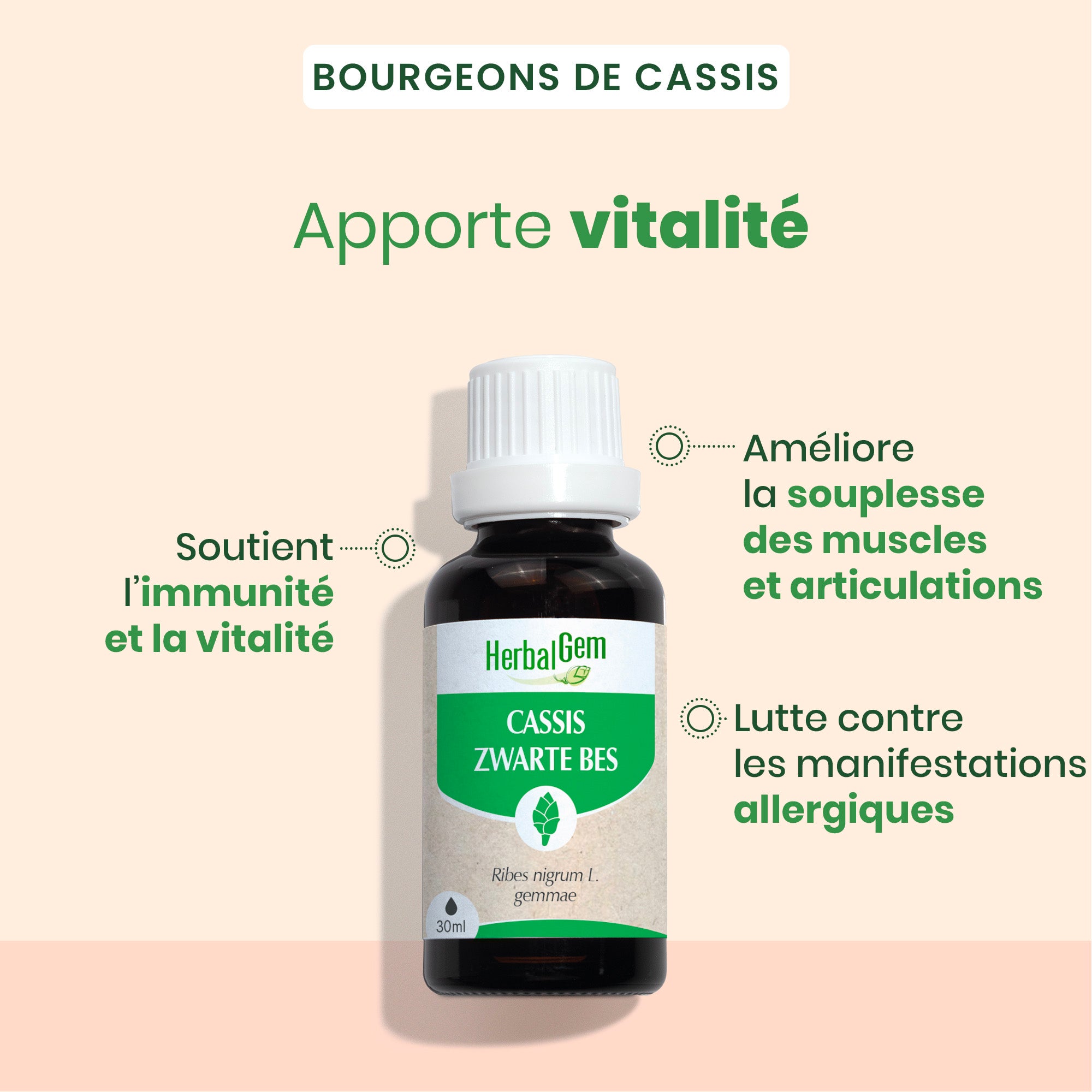 Duo pack bourgeon de Cassis 30 ML + 15 ML - Bio