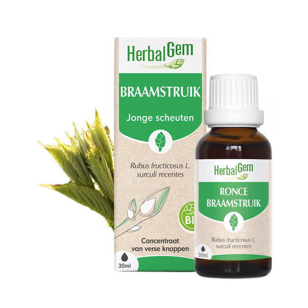 030343-nl20-moedermaceraten-braamstruik-bio-herbalgem-01.jpg
