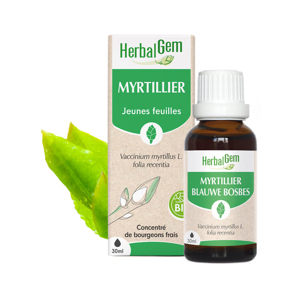 030493-fr20-maceratsmeres-myrtillier-bio-herbalgem-01.jpg