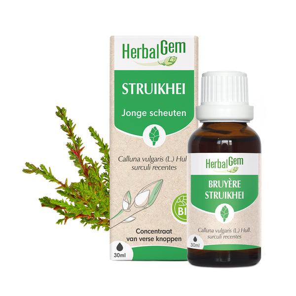 030695-nl20-moedermaceraten-struikhei-bio-herbalgem-01.jpg