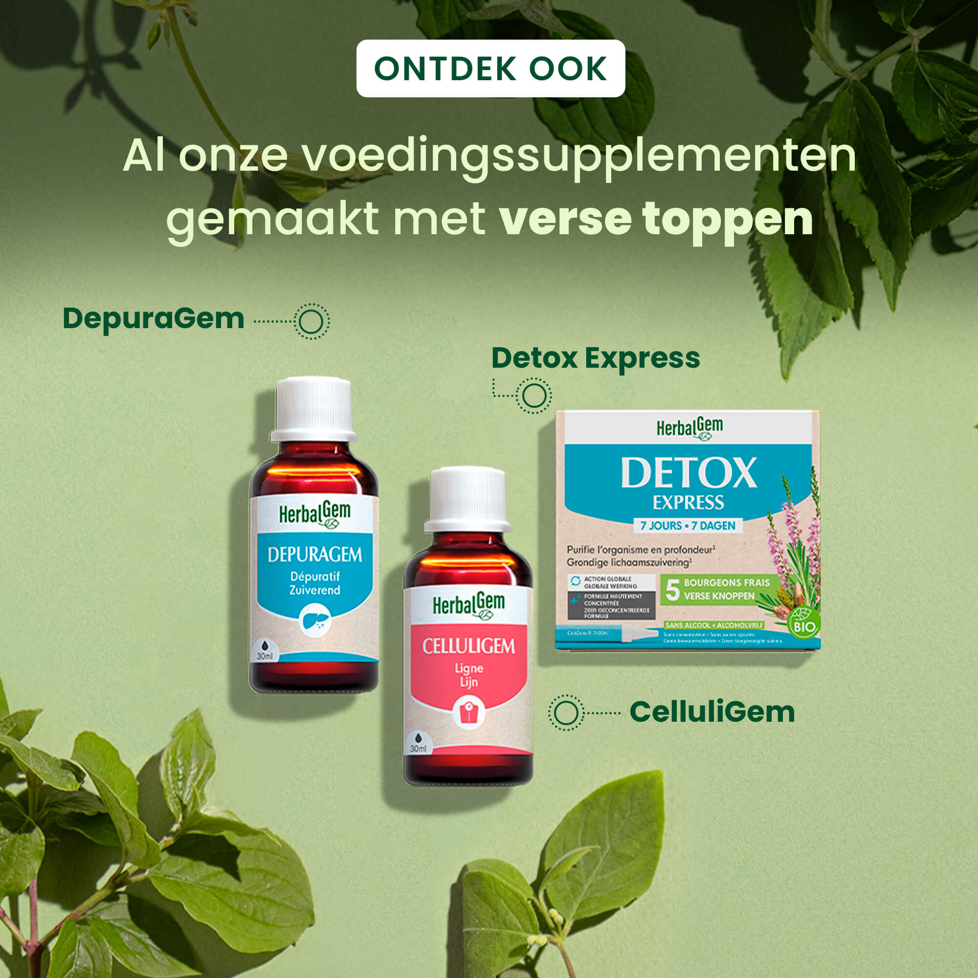 DepuraGem - complexe dépuratif - 30 ml Bio | Herbalgem