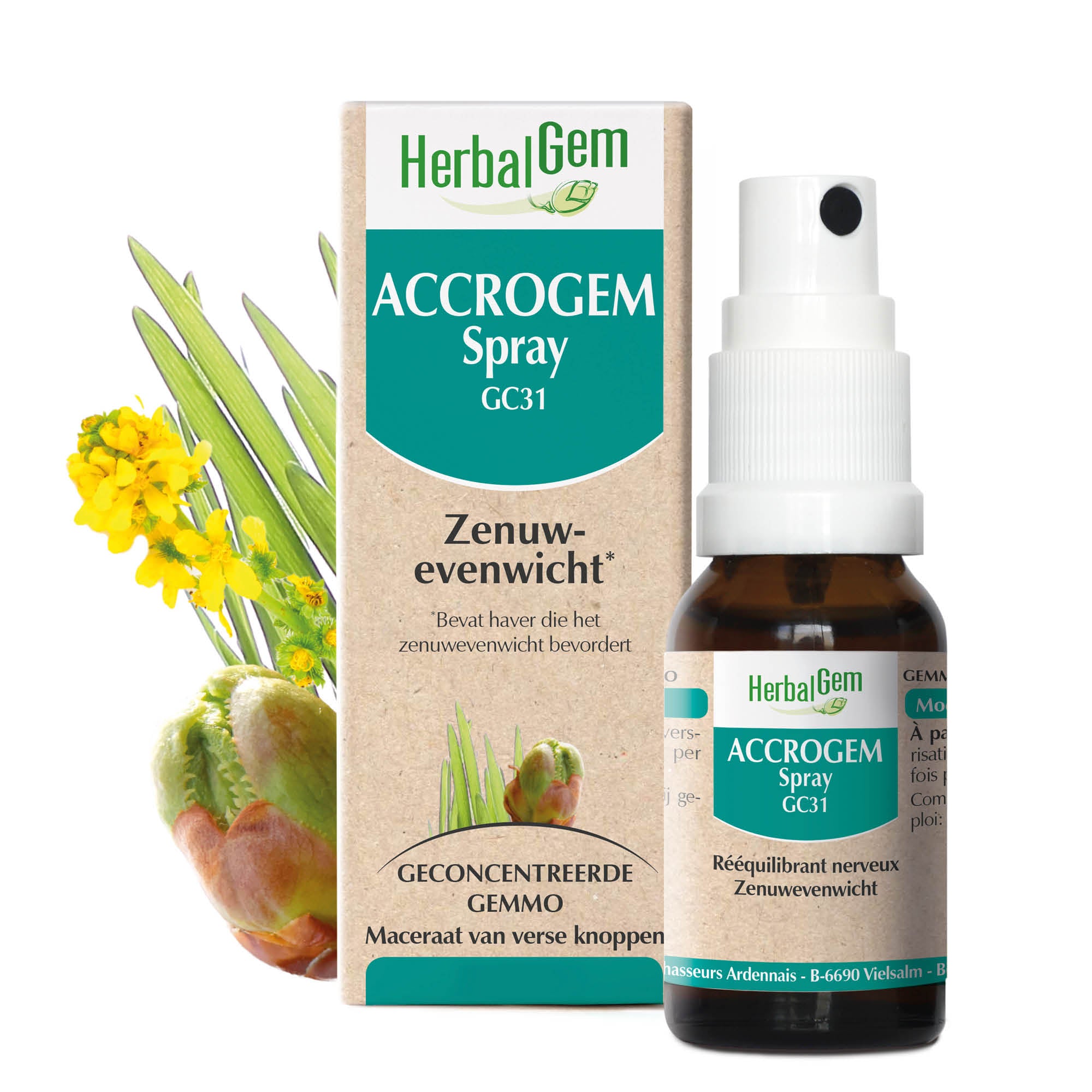 ACCROGEM - Spray