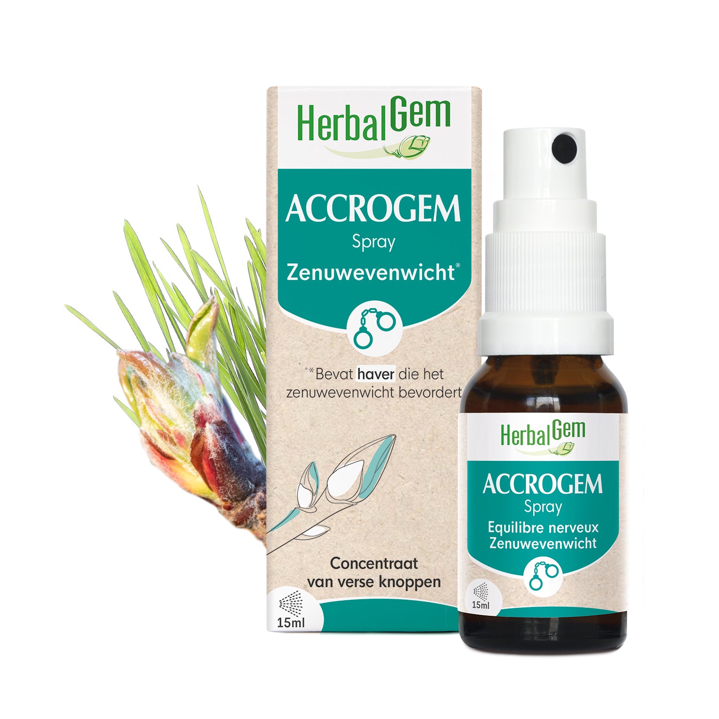 ACCROGEM - Spray