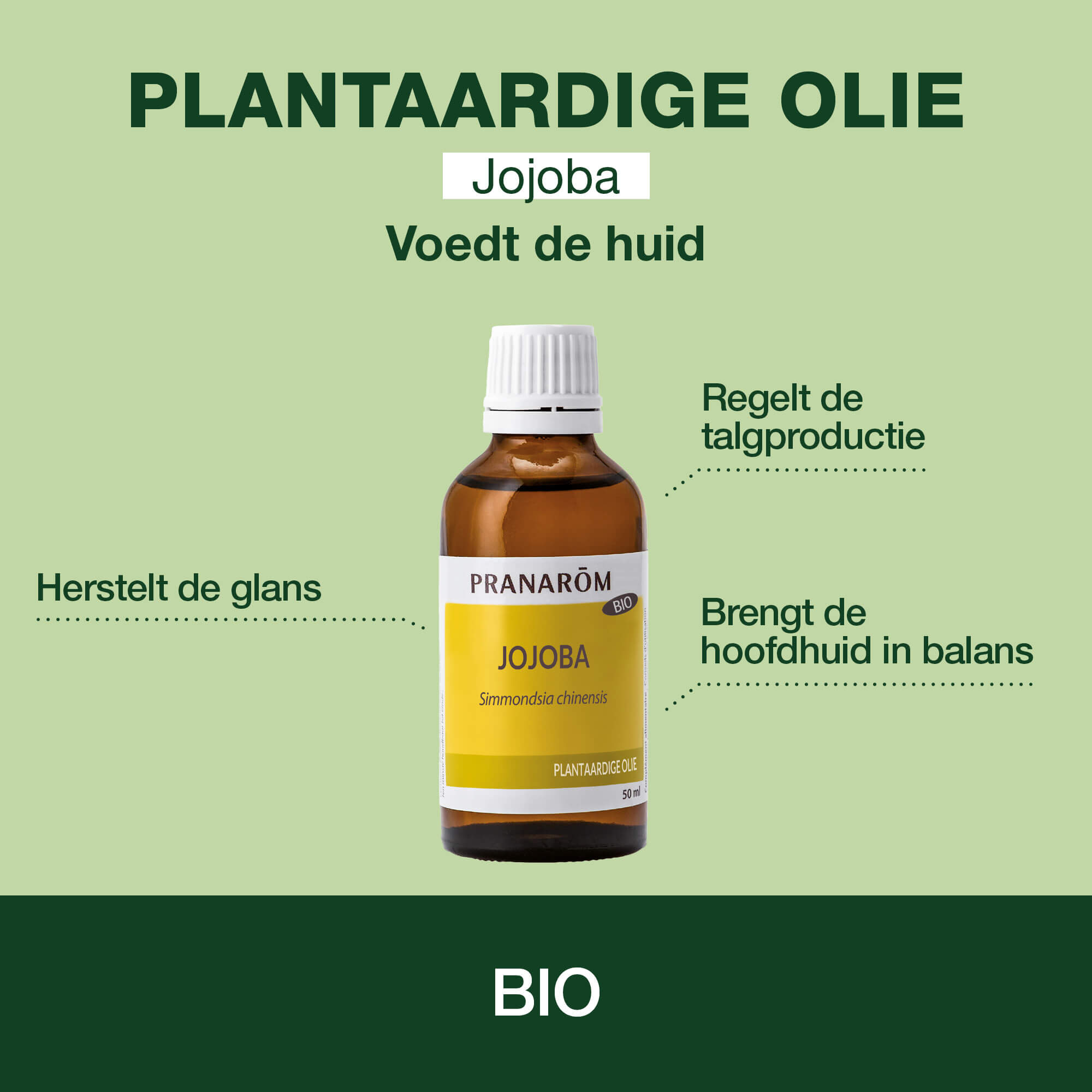 Jojoba Plantaardige Olie - Bio