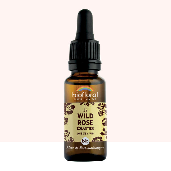 bf037-biofloral-37-wildrose-compte-gouttes-20ml-fr23-3760029841370-01.jpg
