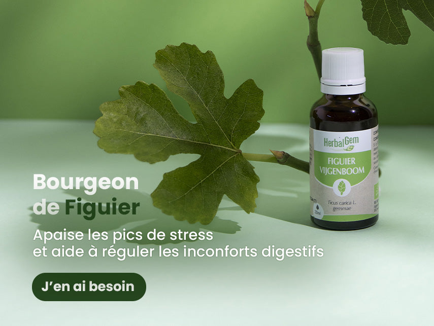 Produits bourgeon-de-figuier-bio