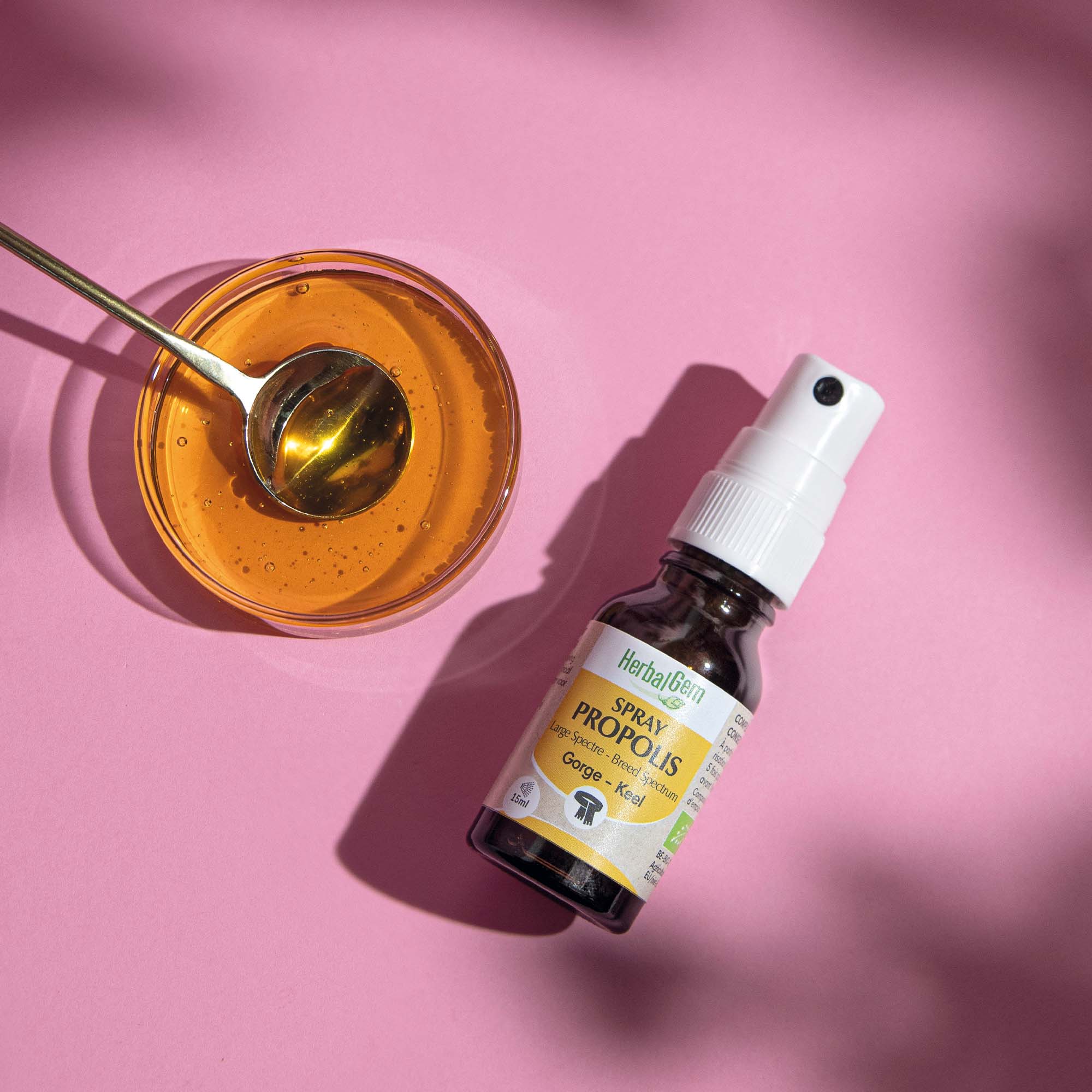 Spray Propolis Large Spectre - Bio