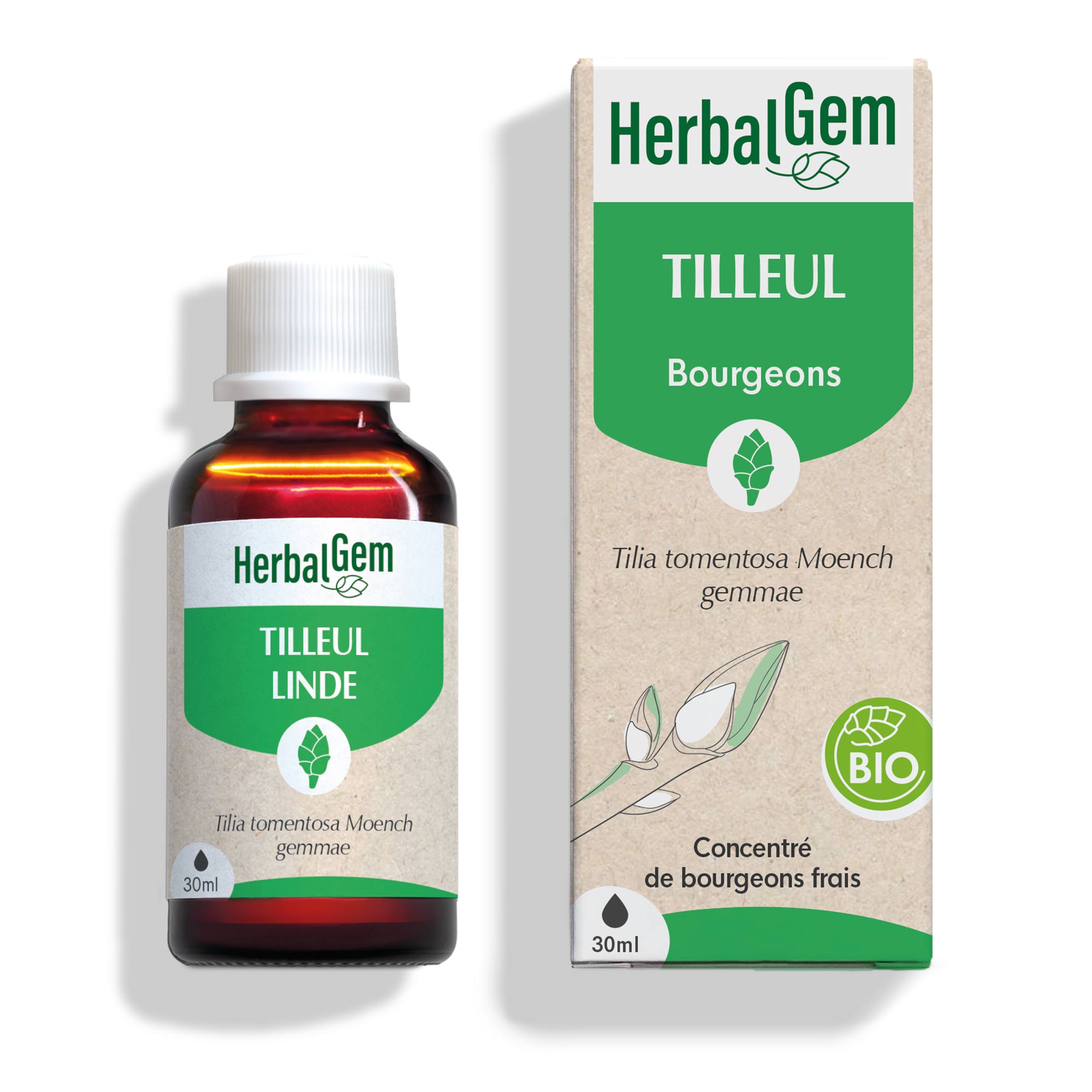 Bourgeon de tilleul - Bio